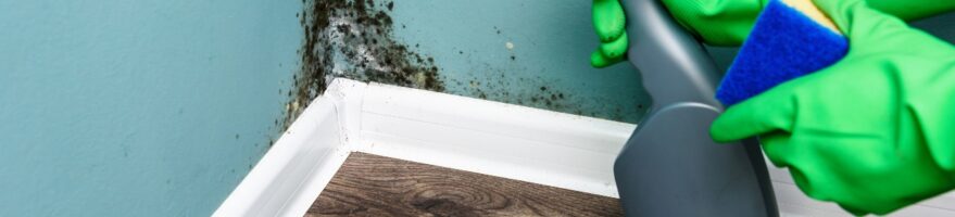 vergleiche.ch 5-tipps-schimmelbekämpfung